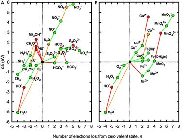 The Influence of Reactive Oxygen Species on Local Redox Conditions in Oxygenated Natural Waters